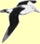 Save the Albatross