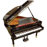Roth & Junius Grand Piano 160 E/P