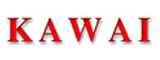 Kawai Digital Pianos