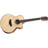 Taylor Leo Kottke Signature 12-String Acoustic Guitar